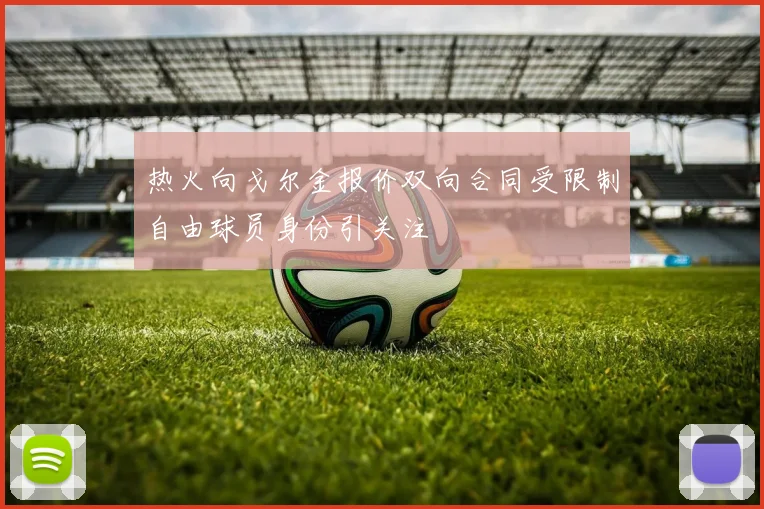 热火向戈尔金报价双向合同受限制自由球员身份引关注